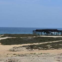 Pazifik Strand mit Schildkröten Brut Station