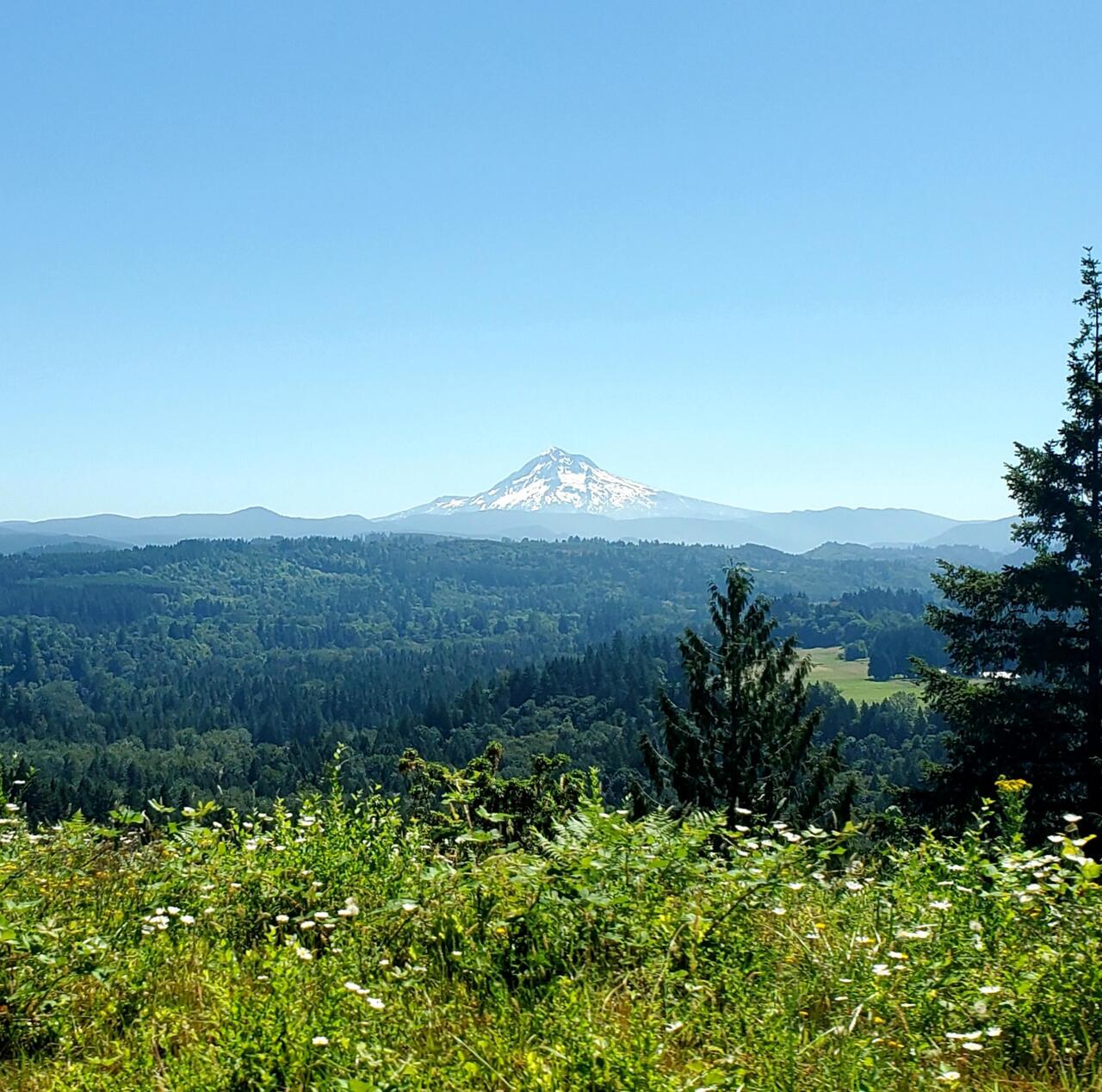 Jonsrud Viewpoint