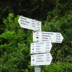 Ab hier folge ich nun ein Stück den Wegzeichen des Ostwegs