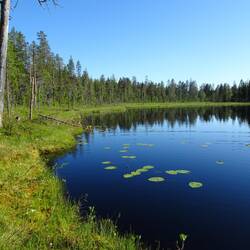 Hier machten wir Picknick.
