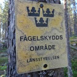 Vogelschutzgebiet: nicht erst seit gestern