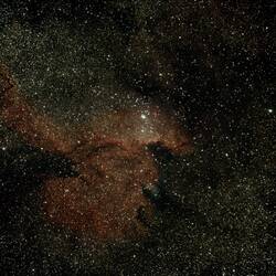 Dragon Nebula
