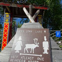 Wegen Corona gilt hier: eine Rentierlänge Abstand halten! 😄