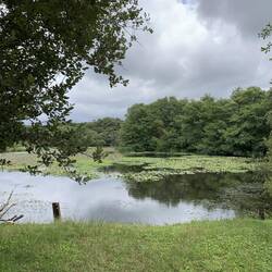 Der See Lac de Leon