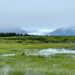 Glimpse of Sheridan Glacier — Copper River Highway, AK.