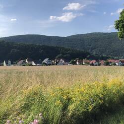 Schönes Lindewerra