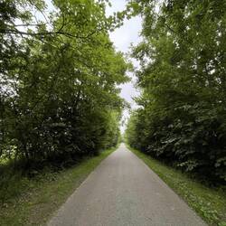 Noch eine Allee