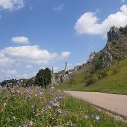 Eselsburger Tal Steinerne Jungfrauen
