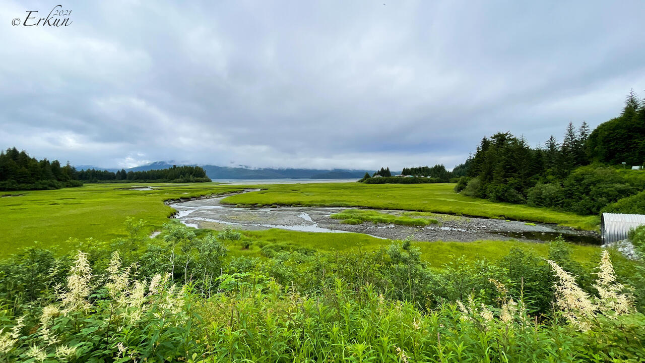 Hartney Bay — Cordova, AK.