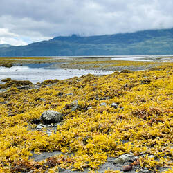 Stranded boat at low tide @ Hartney Bay — Cordova, AK.