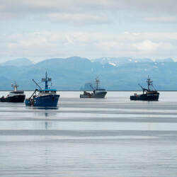 Fishing vessels on Orca Inlet — Cordova, AK.