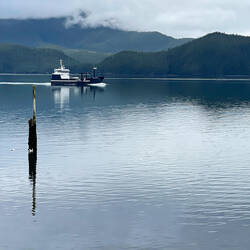 Orca Inlet is pond-calm — Orca Lodge ... Cordova, AK.