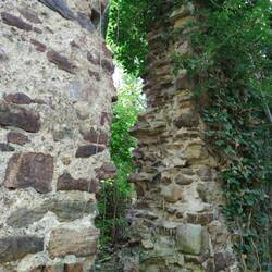 Kirchenruine Salegast