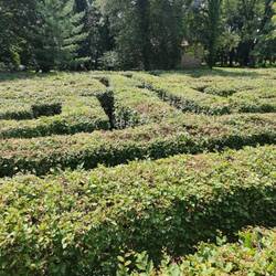 Irrgarten von der Aussichtsplattform