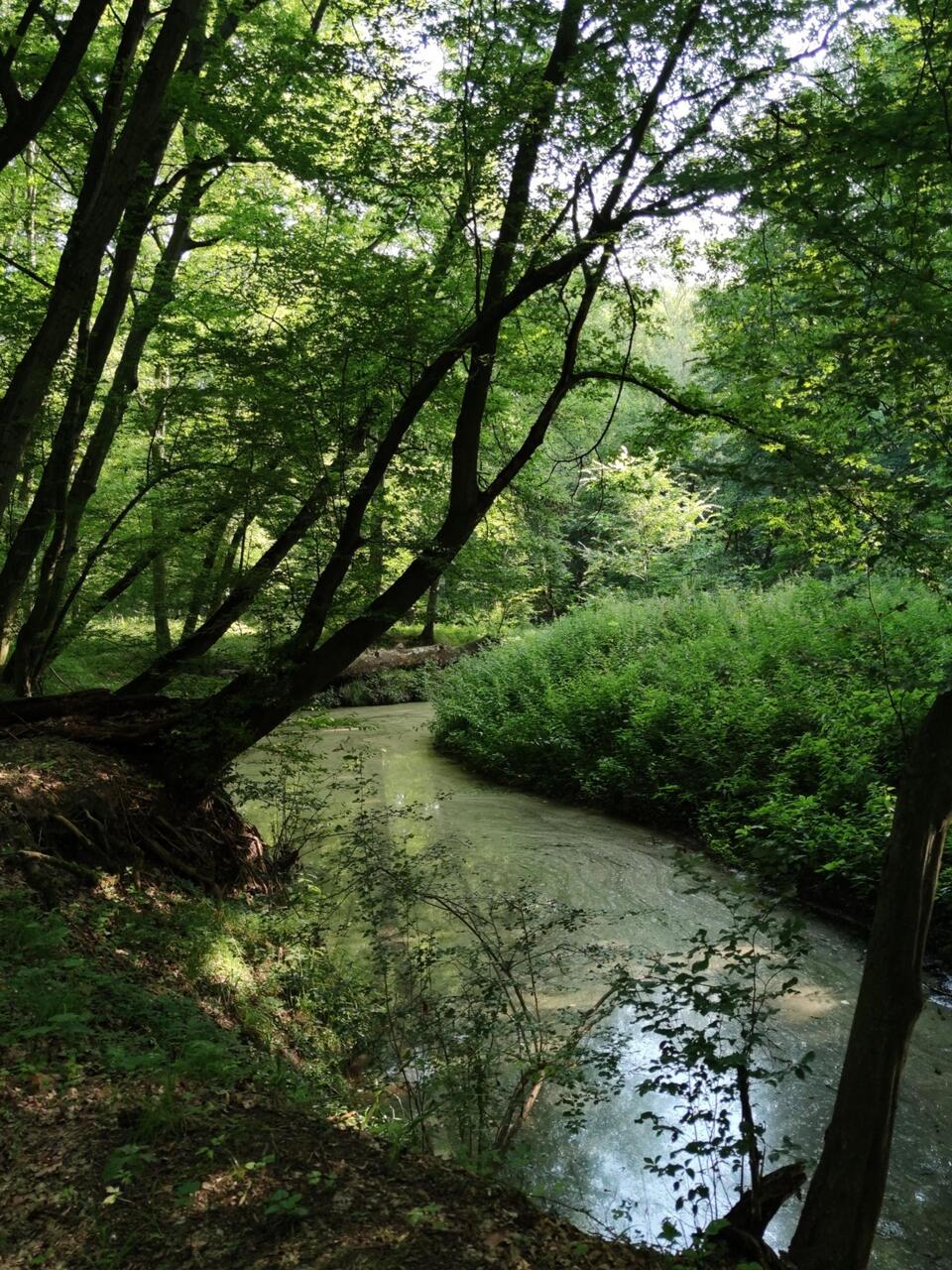 Schlangenfluss/ Muldemäander
