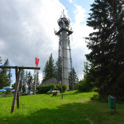Der Aussichtsturm auf dem Hochfirst kommt in Sicht