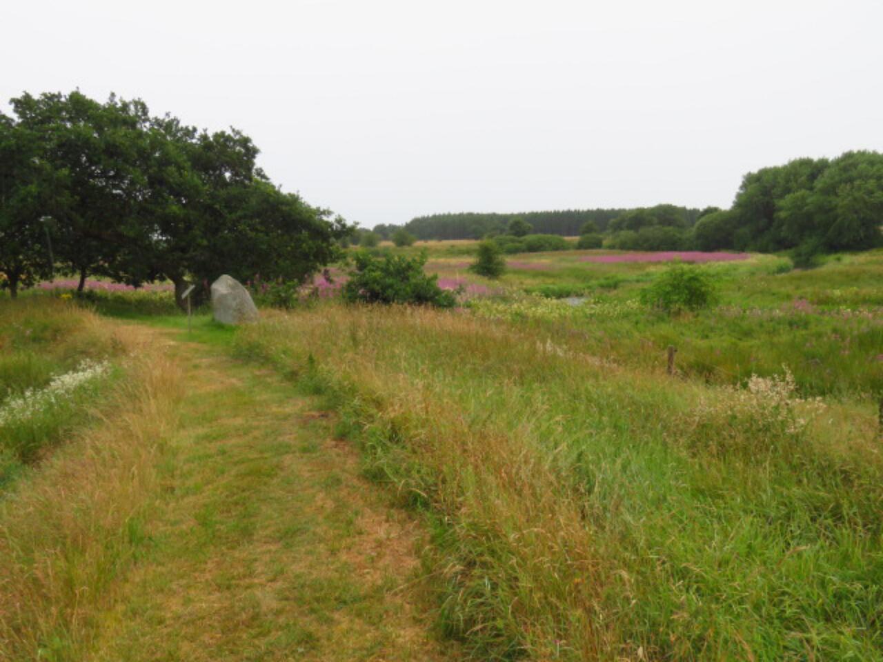 Middelpunt van Jutland oid