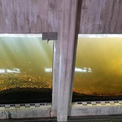 ...leider kein Fisch in Sicht