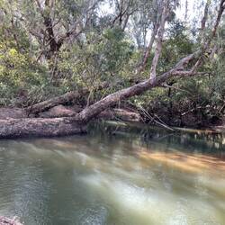 Stevies hole