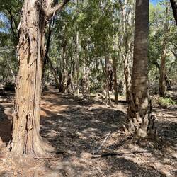 Botanical walk