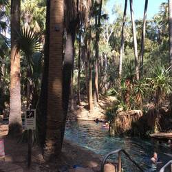 Mataranka Springs