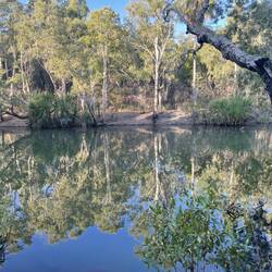 The billabong at our camp.