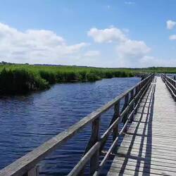 Video Federsee Bad Buchau