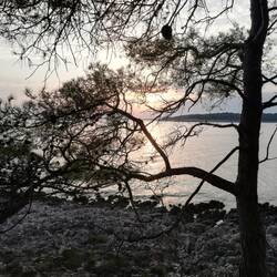 Sonnenuntergang Mali Losinj