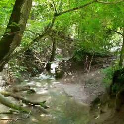 Der Brühlbach