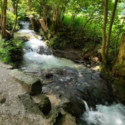 Sinterterrassen am Brühlbach