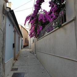 Mali Losinj: kleine Gässchen