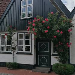 Impressionen aus Schleswig-Holm