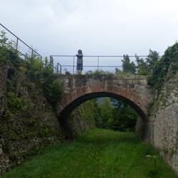 Matteo von der Brücke fotografiert fern