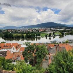 Blick von der Burg auf die Mainschleife