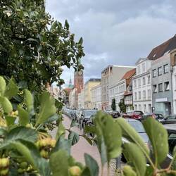 Immer noch Lübeck