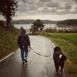 Guten Morgen spaziergang