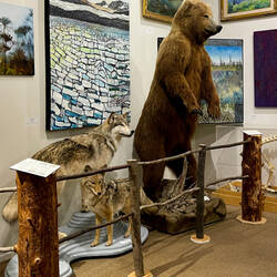 Wildlife Mounts & Art — Pratt Museum in Homer, AK.