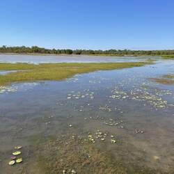 Bird Billabong- 4.5km around in dry season