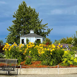 Colorful garden at Baycrest — Homer, AK.