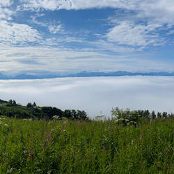 A bowl of Cool Whip? — Baycrest Overlook in Homer, AK.
