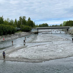 Not what I would call "Combat Fishing" — Ship Creek ... Anchorage, AK.