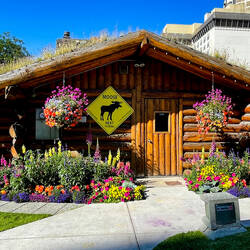 The Log Cabin Info Center is decorated with colorful flowers — Anchorage, AK.