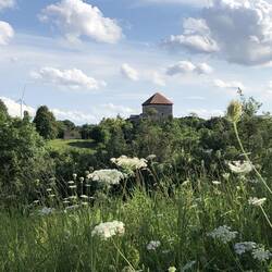 Burg Brauneck 999 n. Chr.