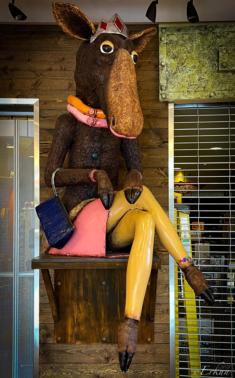 Our last moose encounter in Alaska 🤪 — Ted Stevens International Airport ... Anchorage, AK.