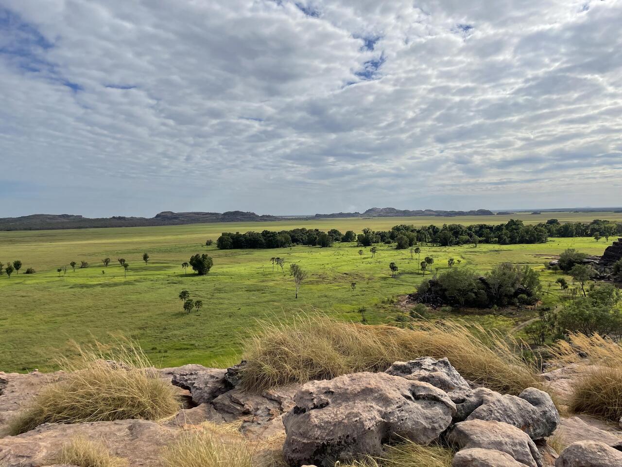 Looking down on the large floodplain at Ubirr