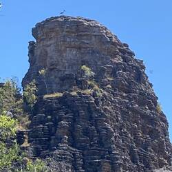 Check the Jabiru perched atop the spire.