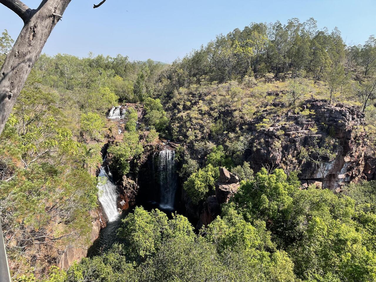 Overlooking Florence Falls