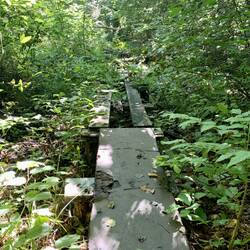 😳Hier sollte die Radtour eigentlich langgehen