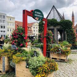 Kulturgrüner Komplimentegarten