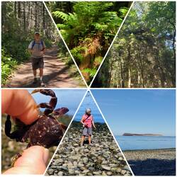 Hiking Miller Peninsula State Park